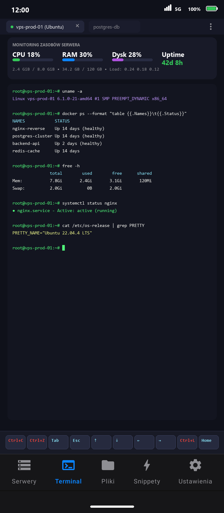 Terminal SSH — materiał prezentacyjny